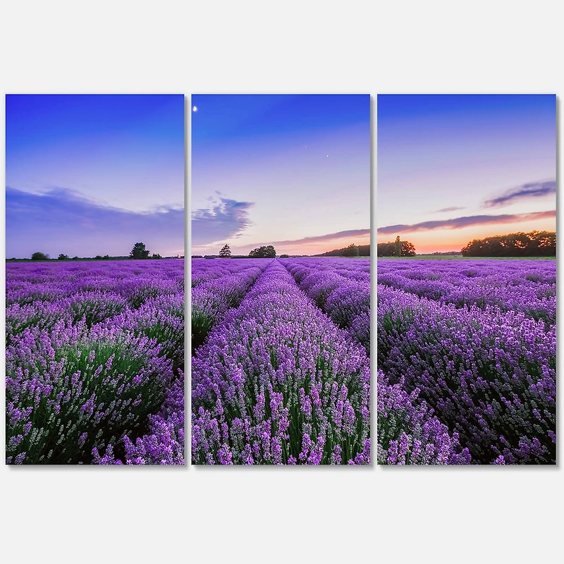 Designart - Sunrise & Dramatic Clouds Over Lavender Field II