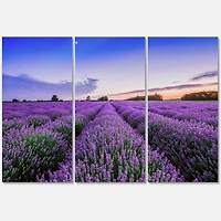 Designart - Sunrise & Dramatic Clouds Over Lavender Field II
