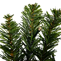 24" Pre-Lit Canadian Pine Artificial Christmas Wreath