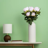 Cream & Pink Peony Bush