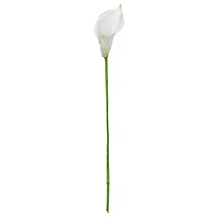 28" White Calla Lily Stem by Ashland®