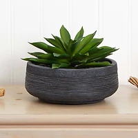 10" Large Succulent Artificial Plant in Decorative Bowl