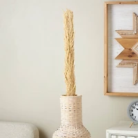 Cream Dried Pampas Grass Stem