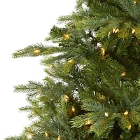 8ft. Pre-Lit North Carolina Spruce Artificial Christmas Tree, Clear LED Lights