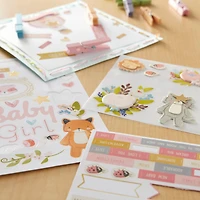 Girl Adventure Baby Stickers by Recollections™