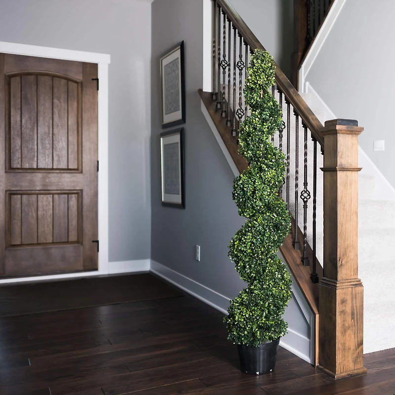5ft. Potted Green Boxwood Spiral Tree