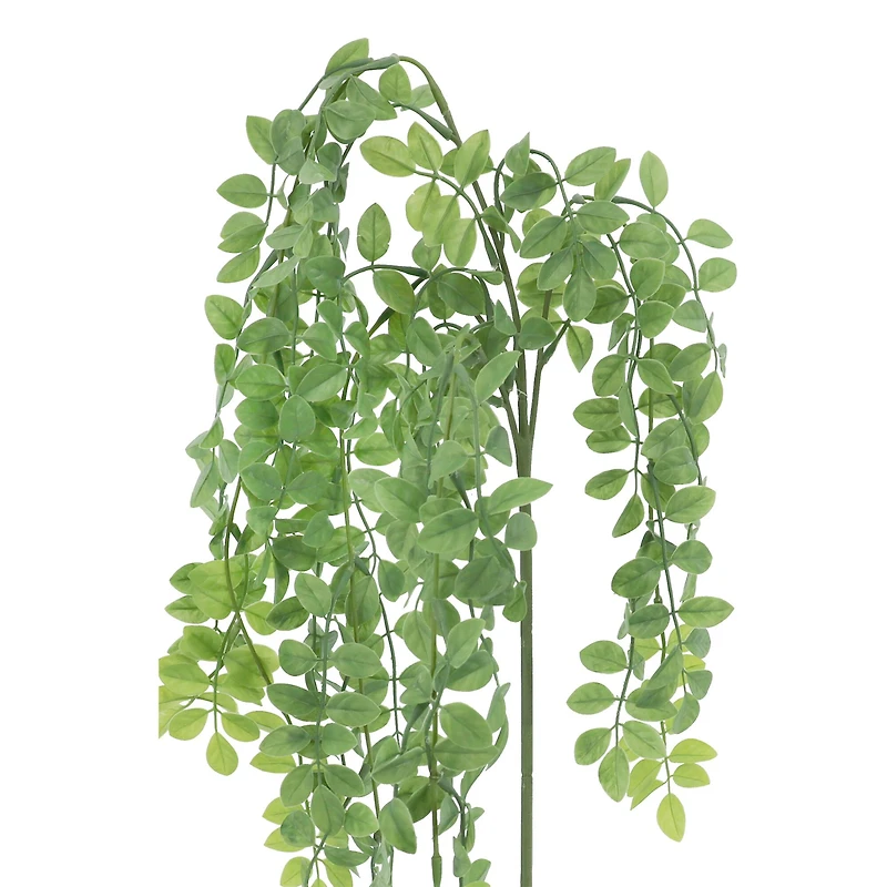 21" Hanging Foliage by Ashland®