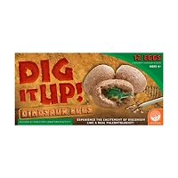 Dig It Up! - Dinosaur Eggs