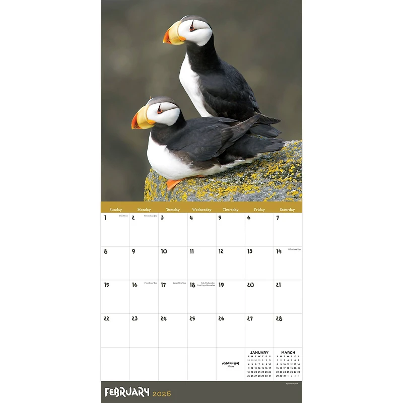 2026 Wild Wall Calendar