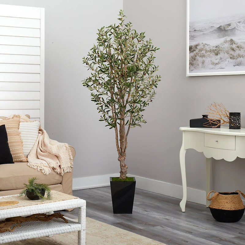 6.5ft. Olive Tree in Black Metal Planter