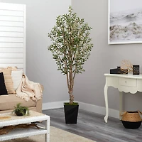 6.5ft. Olive Tree in Black Metal Planter