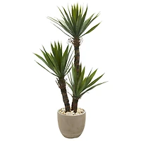 4.5ft. Yucca Tree in Sandstone Planter