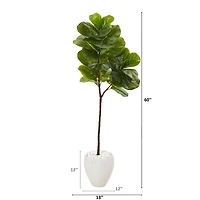 5ft. Fiddle Leaf Tree in White Planter