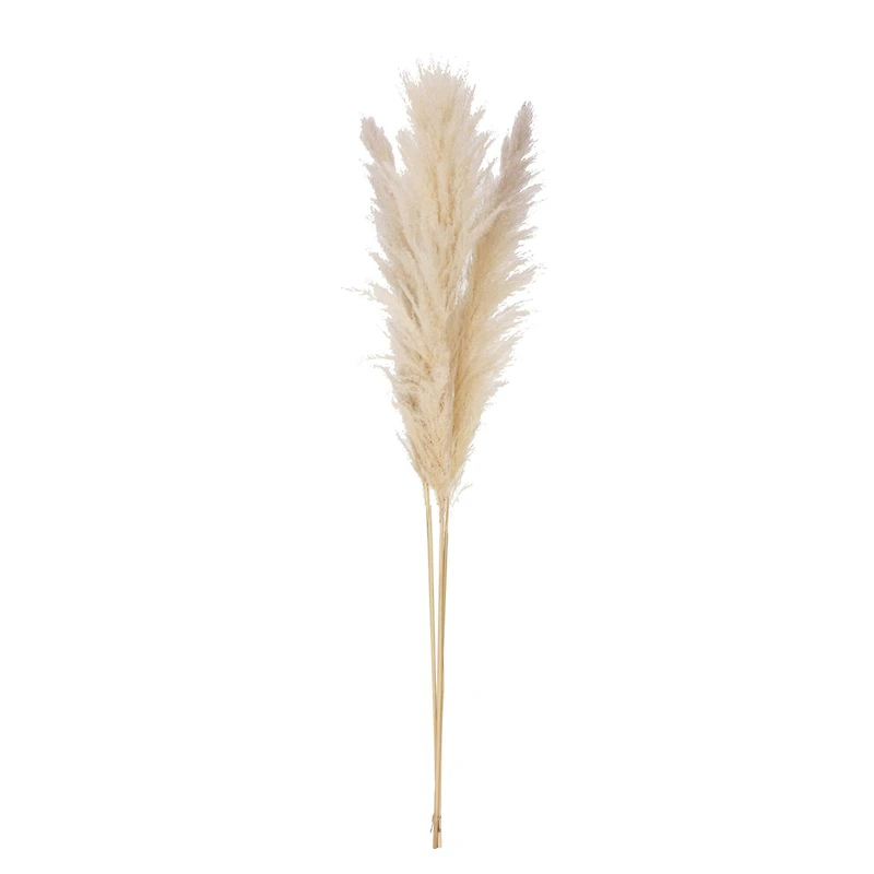 Hello Honey® 5.5ft. Natural Dried Pampas Grass Bunch