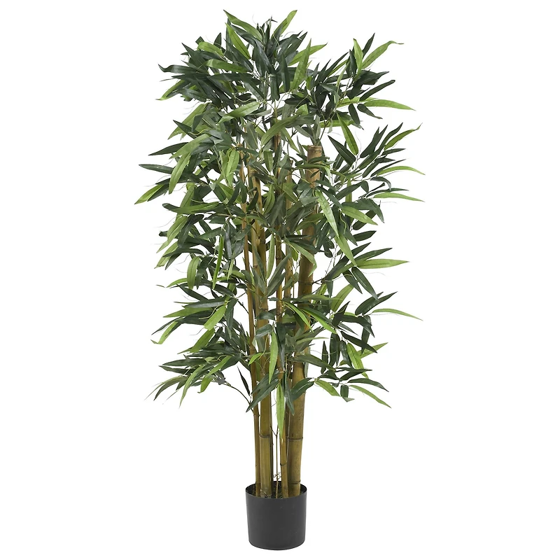 4ft. Potted Biggy Bamboo Tree