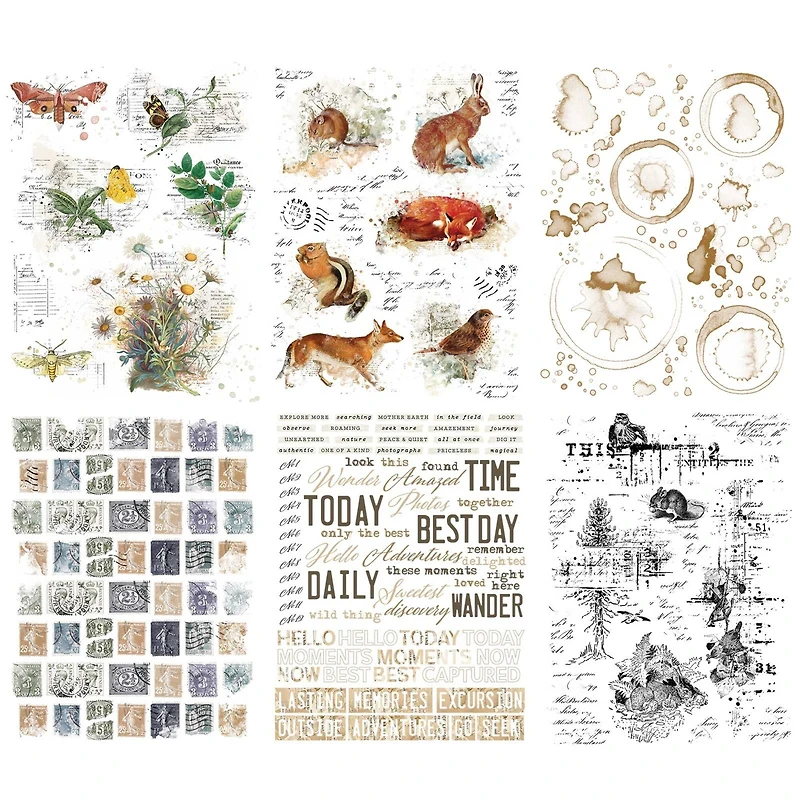 49 and Market Curators Meadow Rub-On Transfer Set