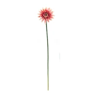 22" Gerbera Daisy Floral Stem, 6ct.