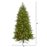 6ft. Pre-Lit Vienna Fir Artificial Christmas Tree, Warm White LED Lights