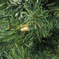 4ft. Pre-Lit Niagara Pine Medium Artificial Christmas Tree, Clear Lights