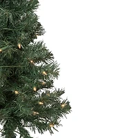 3ft. Pre-Lit Green Blackwater Fir Artificial Christmas Tree, Clear Lights