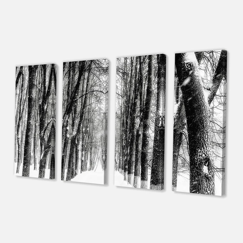 Designart - Snowy Forest Black and White