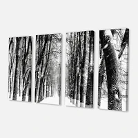 Designart - Snowy Forest Black and White