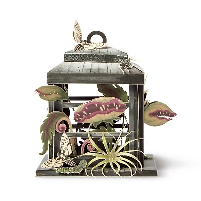 Venus Flytrap Lantern Paper Diorama Kit by Recollections™