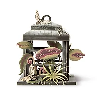 Venus Flytrap Lantern Paper Diorama Kit by Recollections™