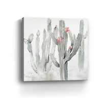 Cactus Garden Gray Blush II Canvas Giclee