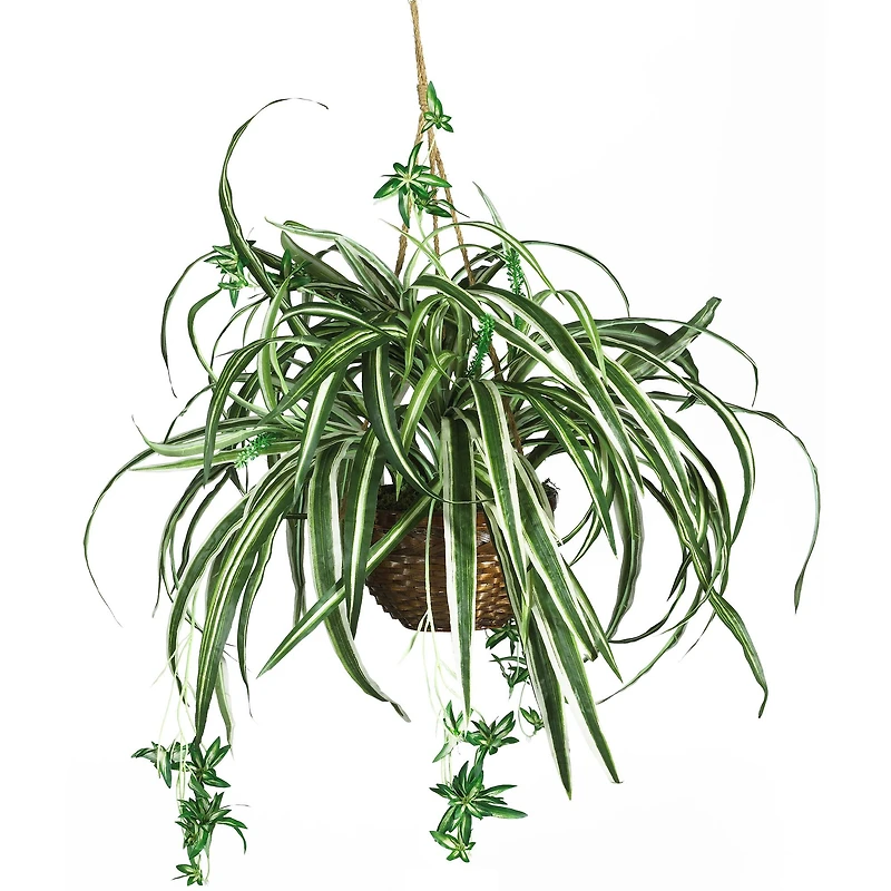 2ft. Spider Hanging Basket