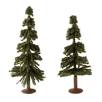 Mini Redwood Trees by Make Market®