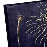 Farm Fireworks Canvas Wall Art