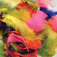 Creativity Street® Bright Turkey Plumage Feathers, 12 Packs of 14g