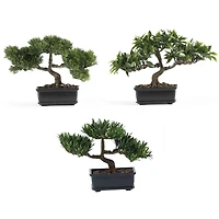8.5" Bonsai Collection, 3ct.