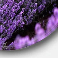 Designart - Blooming Purple Lavender Field