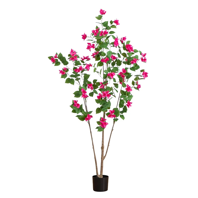 6ft. Potted Pink Minimalist Bougainvillea Tree