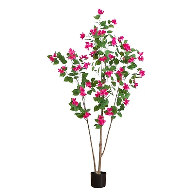 6ft. Potted Pink Minimalist Bougainvillea Tree
