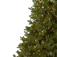 7.5ft. Pre-Lit Royal Grand Artificial Christmas Tree, Clear Lights