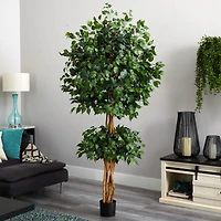 6ft. Potted Double Ball Ficus Silk Tree