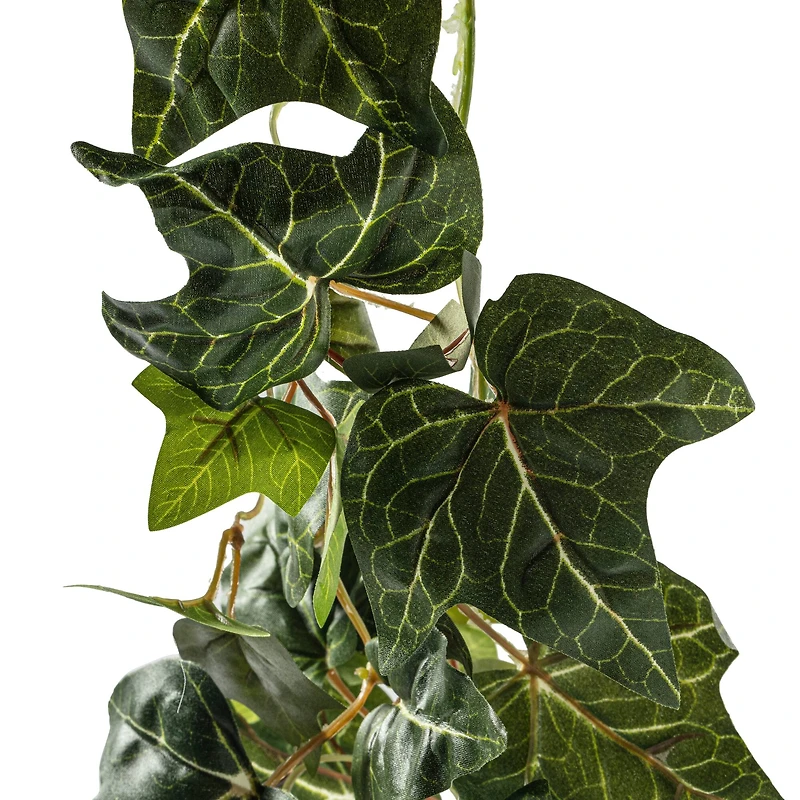 7 Pack: 6ft. Green English Ivy Garland by Ashland®