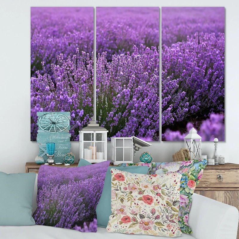 Designart - Blooming Purple Lavender Field