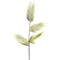 12 Pack: Green Tropical Areca Palm Stem by Ashland®