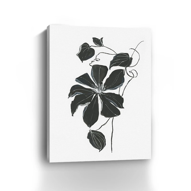 Midnight Climber I Canvas Giclee