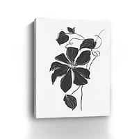 Midnight Climber I Canvas Giclee