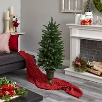 4ft. Pre-Lit Artificial Christmas Tree, Clear LED Lights