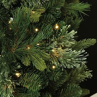 6ft. Pre-Lit Sierra Spruce Artificial Christmas Tree, Warm White LED Lights by Ashland®