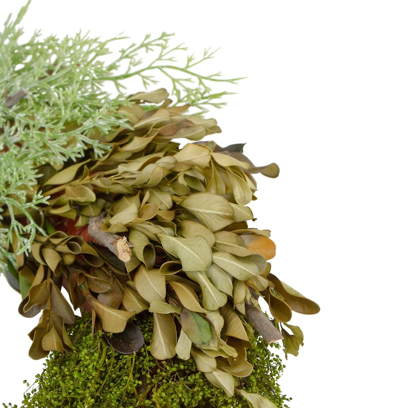 14" Green Cedar Succulent & Day Grass Artificial Spring Wreath