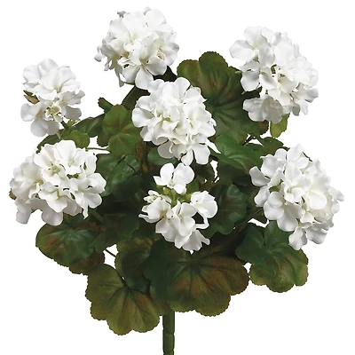 12 Pack: White Water-Resistant Geranium Bush