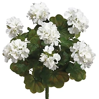 White Water-Resistant Geranium Bush