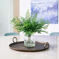 17" Forest Fern Arrangement in Glass Vase